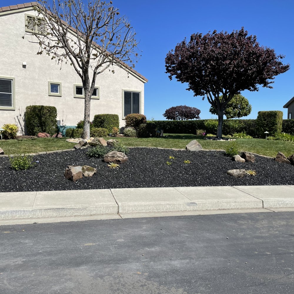 Complete Landscape - Yard was all grass. Beautiful now. - Landscaping Near Me - Oakley, California Complete Landscape - Yard was all grass. Beautiful now. - Landscaping Near Me - Oakley, California