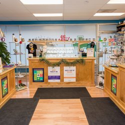 Dr Jolly's