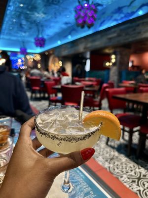 Agave Bandido by null