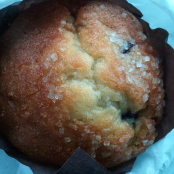 Fountain Café - a muffin in a paper wrapper - Cafes Near Me - Chicago, Illinois