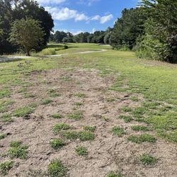 #8 "tee box"