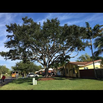 J A Roman Tree Service - Tree Services Near Me - Miami, Florida J A Roman Tree Service - Tree Services Near Me - Miami, Florida