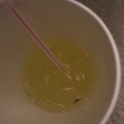 KFC - This bug was in my drink