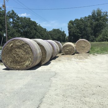 Benton's Feed & Seed & Garden - Hay bales - Nurseries & Gardening Near Me - Walterboro, South Carolina Benton's Feed & Seed & Garden - Hay bales - Nurseries & Gardening Near Me - Walterboro, South Carolina