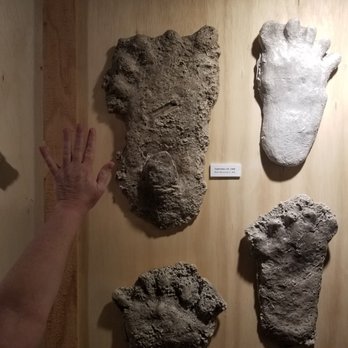 North American Bigfoot Center - Just a bit of scale. - Museums Near Me - Boring, Oregon North American Bigfoot Center - Just a bit of scale. - Museums Near Me - Boring, Oregon