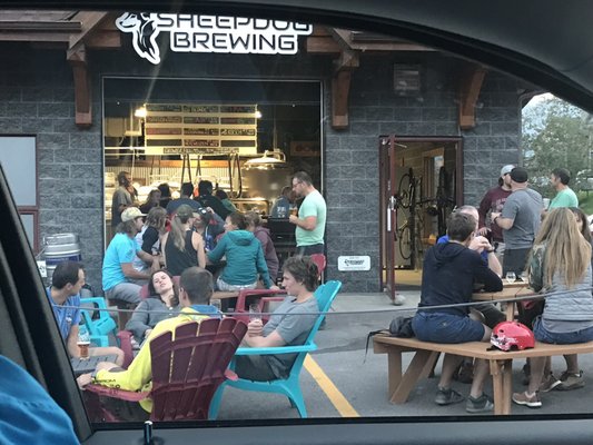 Sheepdog Brewing by null