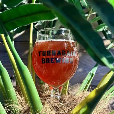 Turnagain Brewing by null