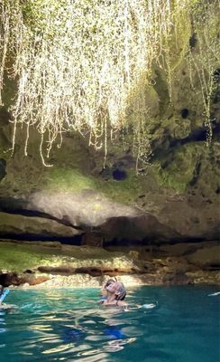 Devil's Den Prehistoric Spring and Campground by null