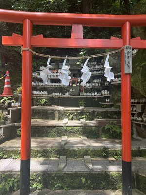 Sasuke Inari Shrine by null