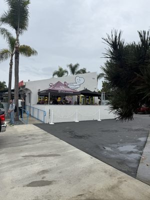 Chick & Hawk by null