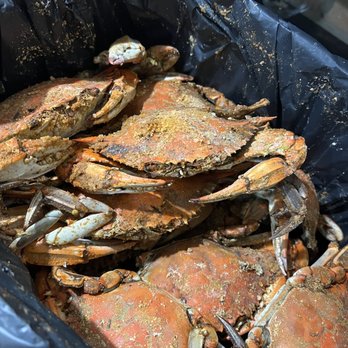 Avery's Maryland Grill - A half bushel of crabs - Seafood Near Me - Frederick, Maryland