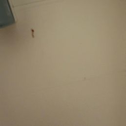 Blood in shower. Blood in shower.
