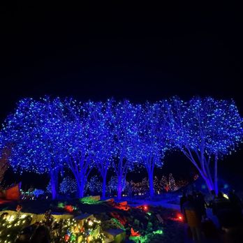 Denver Botanic Gardens - Blossoms of light (seasonal lights) - Botanical Gardens Near Me - Denver, Colorado