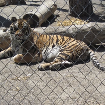 Cat Tales Wildlife Center - Amusement Parks Near Me - Spokane, Washington Cat Tales Wildlife Center - Amusement Parks Near Me - Spokane, Washington