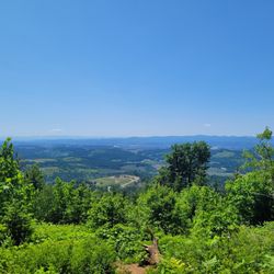 Bald Peak State Scenic Viewpoint - Willamette Valley Views