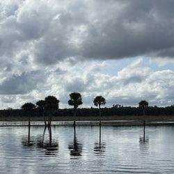 A-Awesome Airboat Ride - View
