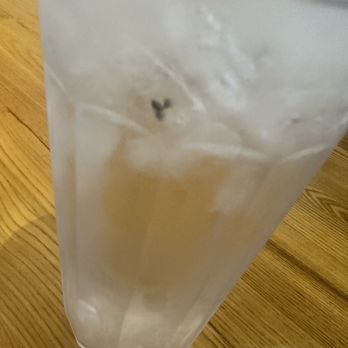 Katrina's Mexican Kitchen - Fly in ice water I let waitress know manager didn't come out to apologize or nothing clear as day,will not go back. - Mexican Near Me - Artesia, California Katrina's Mexican Kitchen - Fly in ice water I let waitress know manager didn't come out to apologize or nothing clear as day,will not go back. - Mexican Near Me - Artesia, California