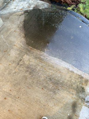 Residential Pressure Washing - 541-221-0780 - EQQC Pressure Washing: Expert Home Exterior Cleaning:
Efficiency Quality Quickness Contracting LLC provides professional pressure washing services for residential properties throughout Lane County, Oregon. Specializing in Oregon's unique climate challenges including moss, algae, mildew, and weather staining removal.
Pressure Washing Services
Residential Exterior Cleaning
-House pressure washing - vinyl, wood, fiber cement siding
-Driveway and sidewalk cleaning - concrete stain removal
-Deck and fence restoration - wood surface revitalization
-Gutter cleaning - complete exterior maintenance packages
Service Packages & Pricing
1-Story Homes:
-House Only: $200
-House + Gutters: $250
-House + Driveway/Sidewalk + Gutters: $300
2-Story Homes:
-House Only: $300
-House + Gutters: $350
-House + Driveway/Sidewalk + Gutters: $400 Residential Pressure Washing - 541-221-0780 - EQQC Pressure Washing: Expert Home Exterior Cleaning:
Efficiency Quality Quickness Contracting LLC provides professional pressure washing services for residential properties throughout Lane County, Oregon. Specializing in Oregon's unique climate challenges including moss, algae, mildew, and weather staining removal.
Pressure Washing Services
Residential Exterior Cleaning
-House pressure washing - vinyl, wood, fiber cement siding
-Driveway and sidewalk cleaning - concrete stain removal
-Deck and fence restoration - wood surface revitalization
-Gutter cleaning - complete exterior maintenance packages
Service Packages & Pricing
1-Story Homes:
-House Only: $200
-House + Gutters: $250
-House + Driveway/Sidewalk + Gutters: $300
2-Story Homes:
-House Only: $300
-House + Gutters: $350
-House + Driveway/Sidewalk + Gutters: $400