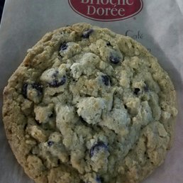 Chocolate Chip Cookie