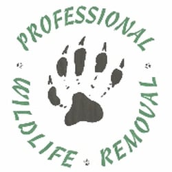 Professional Wildlife Removal