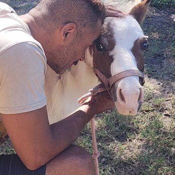Branded Heart Stables - Bonding!!! - Horseback Riding Near Me - Englewood, Florida