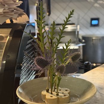 Ine - plant decor - Japanese Near Me - Los Angeles, California