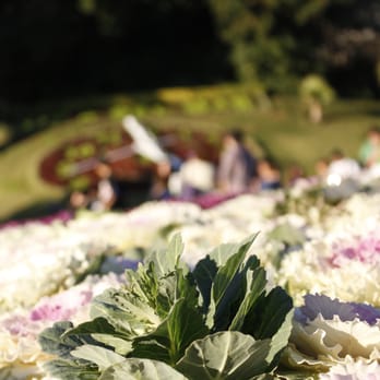 Reloj de Flores - Parks Near Me - Provincia de Valparaíso, VS Reloj de Flores - Parks Near Me - Provincia de Valparaíso, VS