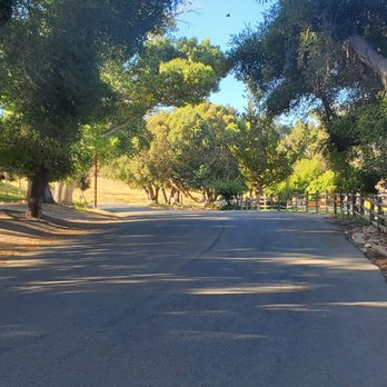 Vail Lake Resort - The grounds. - Campgrounds Near Me - Temecula, California