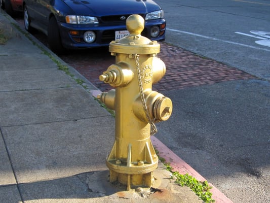 The Golden Fire Hydrant by null