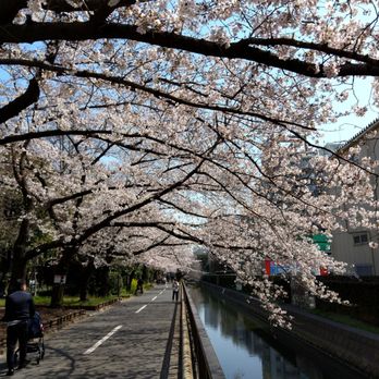 仙台堀川公園 南砂5 江東区 東京都 Japan Yelp