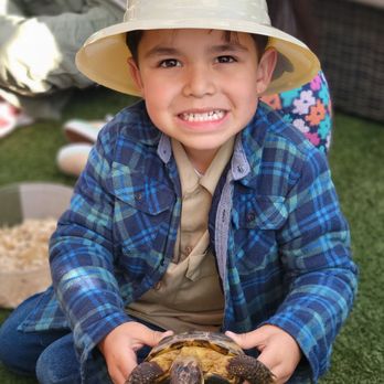 Kids Reptile Parties - Party & Event Planning Near Me Kids Reptile Parties - Party & Event Planning Near Me