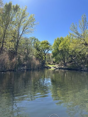 Patagonia Lake State Park by null