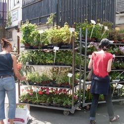 Market Florist Brighton
