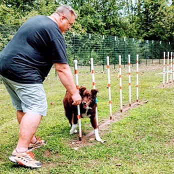 PRO K-9 - Pet Training Near Me PRO K-9 - Pet Training Near Me