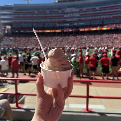 Memorial Stadium by null