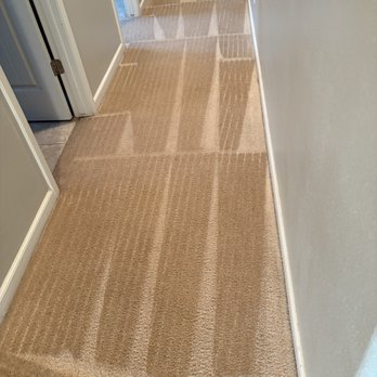 Clean to the Maxx - Carpet Cleaning Near Me
