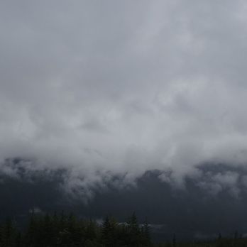 West Glacier Trail - Mendenhall Glacier - Hiking Near Me - Juneau, Alaska West Glacier Trail - Mendenhall Glacier - Hiking Near Me - Juneau, Alaska