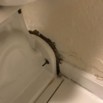 Motel 6 - This is the nasty Toilet that was in the bathroom. - Hotels Near Me - Glendale, Wisconsin
