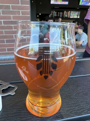 Taplandia Taphouse by null