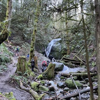 Red Town Trailhead - Coal Creek Falls - Hiking Near Me - Bellevue, Washington
