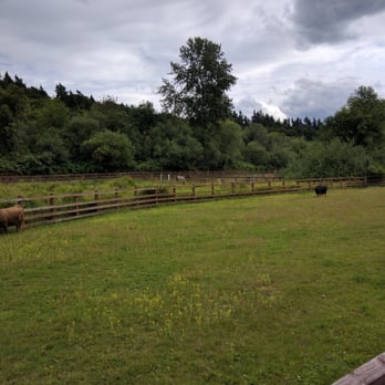 Kelsey Creek Farm Park - Venues & Event Spaces Near Me - Bellevue, Washington
