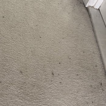 Safe House - Dirt - Damage Restoration Near Me Safe House - Dirt - Damage Restoration Near Me