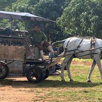 Cuban Adventures - One means of transportation - Tours Near Me Cuban Adventures - One means of transportation - Tours Near Me