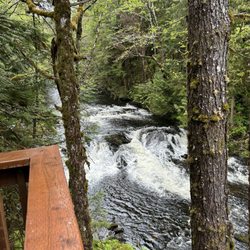 Wild Wolf Tours - Salmon stream on the hike