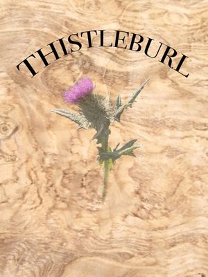 Thistleburl by null