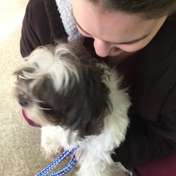 The Vet House - Excitement - Pet Sitting Near Me - Richardson, Texas The Vet House - Excitement - Pet Sitting Near Me - Richardson, Texas