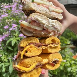 Onion Bagels