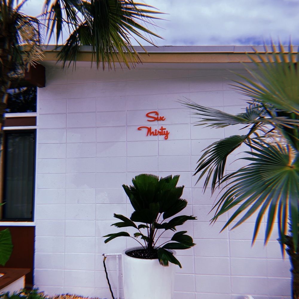Jesse Durko's Nursery - Licuala palm - Nurseries & Gardening Near Me - Davie, Florida Jesse Durko's Nursery - Licuala palm - Nurseries & Gardening Near Me - Davie, Florida