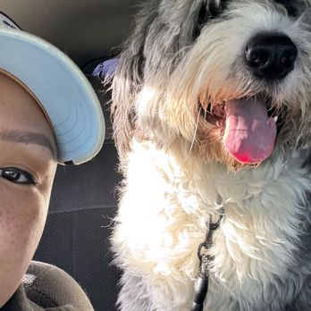 Pet Barber - Pet Groomers Near Me - Temecula, California