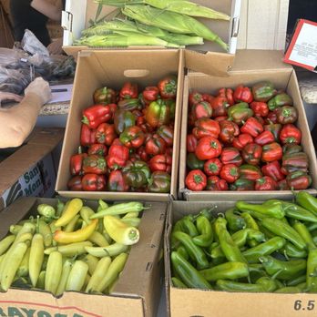 The Lighthouse Farms - Bell peppers, peppers, corn - Fruits & Veggies Near Me - Fresno, California The Lighthouse Farms - Bell peppers, peppers, corn - Fruits & Veggies Near Me - Fresno, California